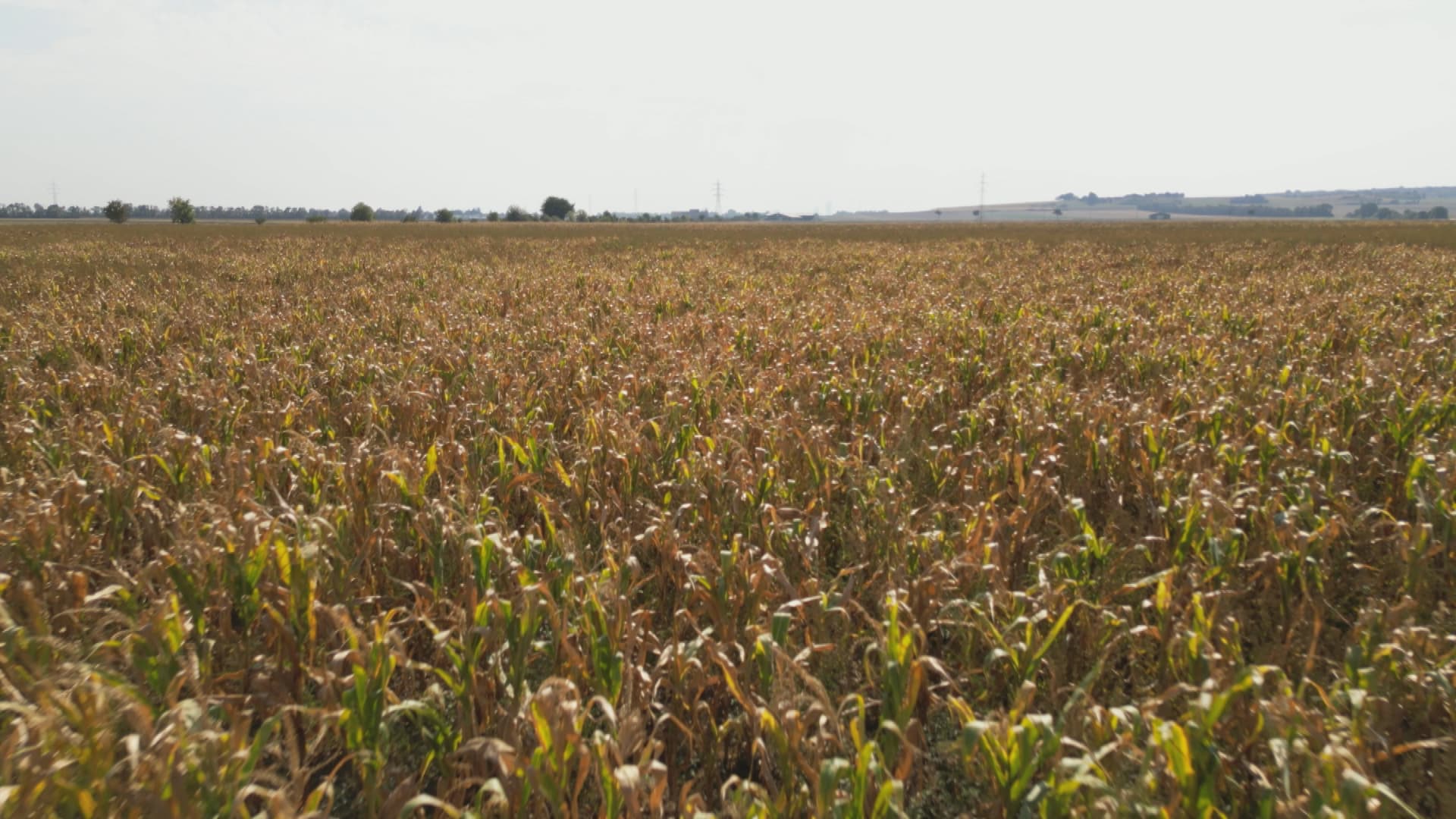 04 Pressefotos BWZ Tockenheit LW 2