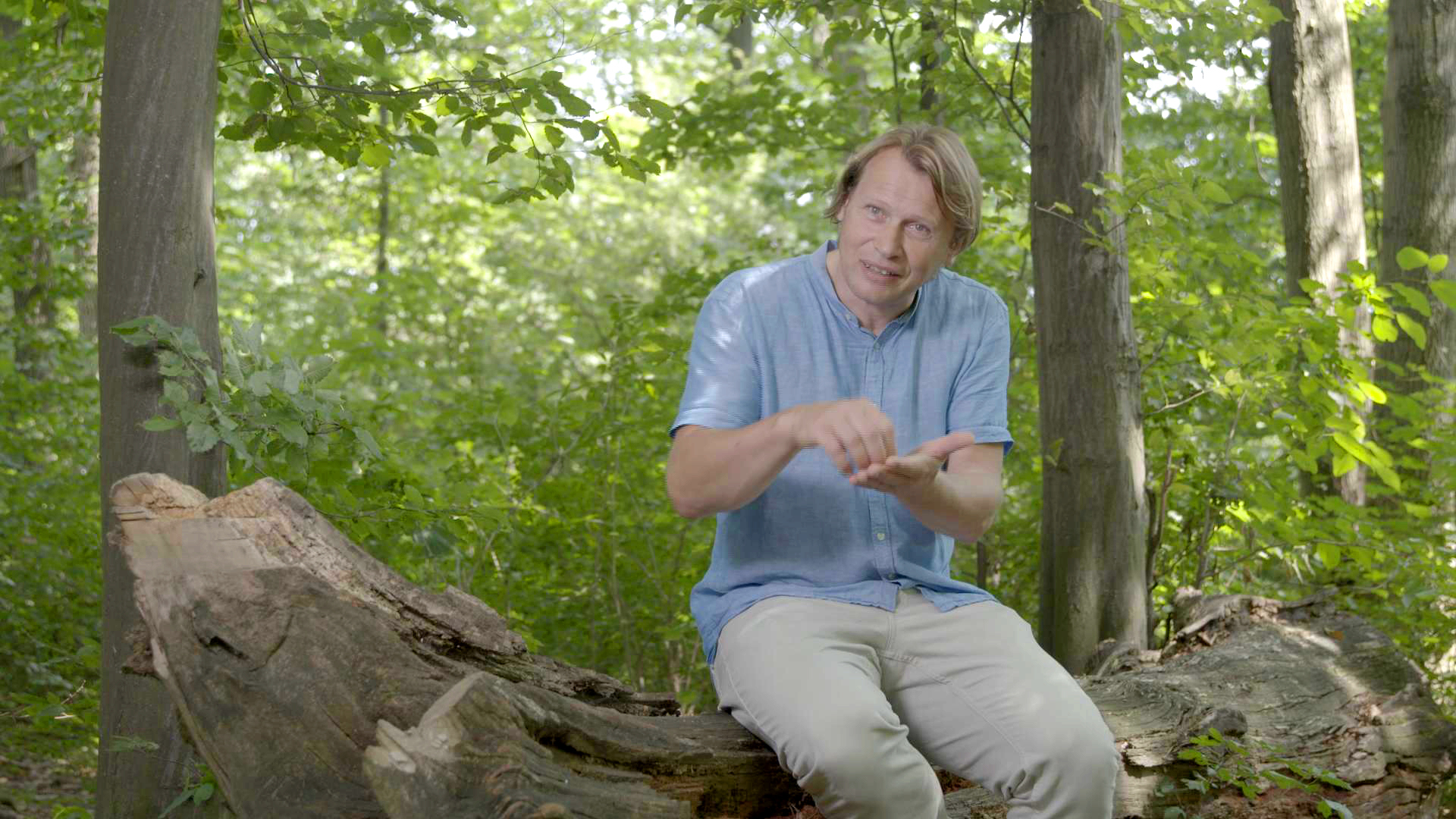 1 Werner Michael Schwarz Historiker