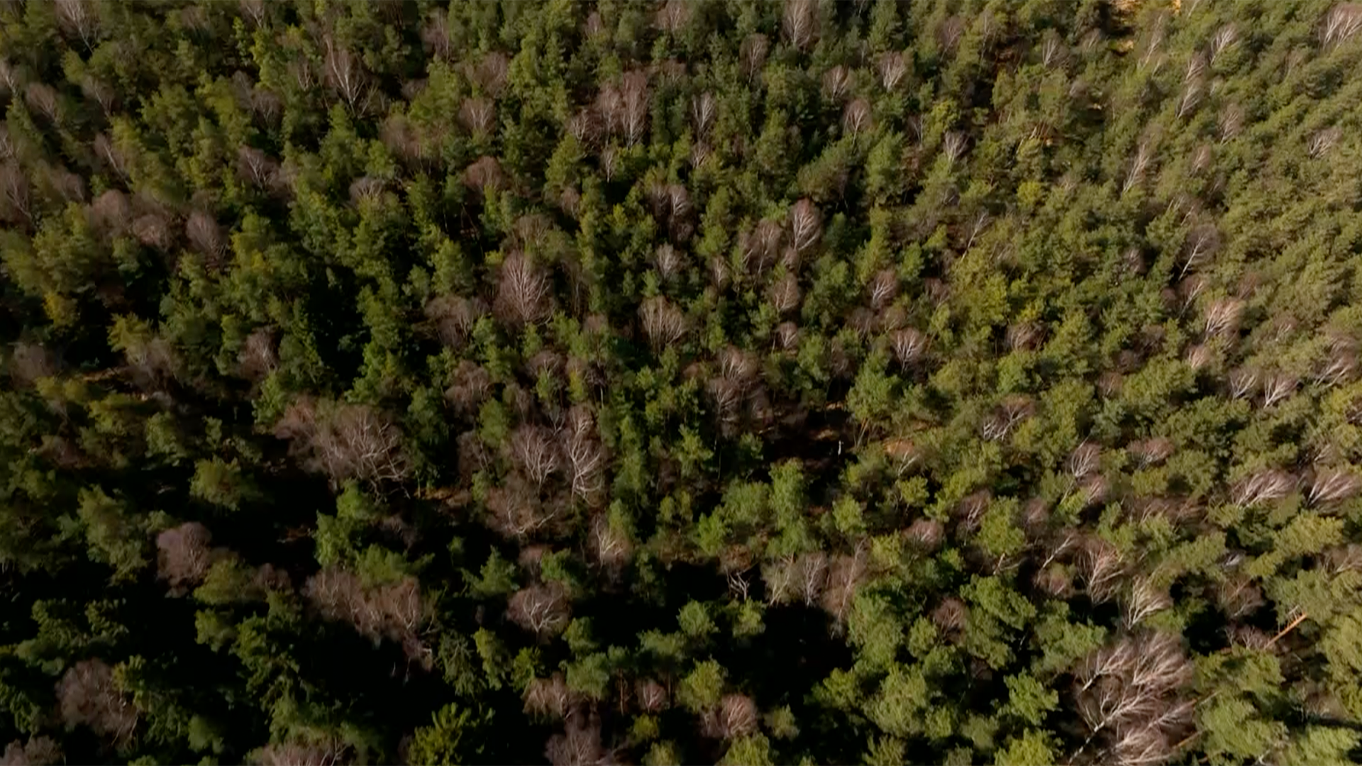30 Industriegeschichte Waldviertel Folge3