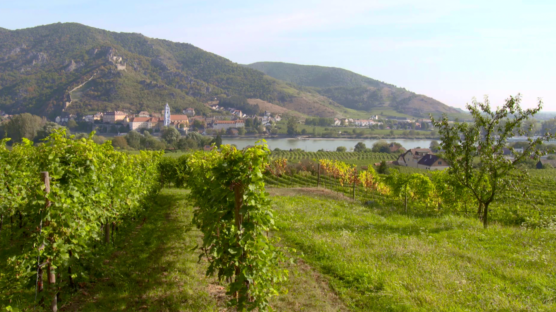 Bildschirmfoto-2019-05-06-um-14.24.39