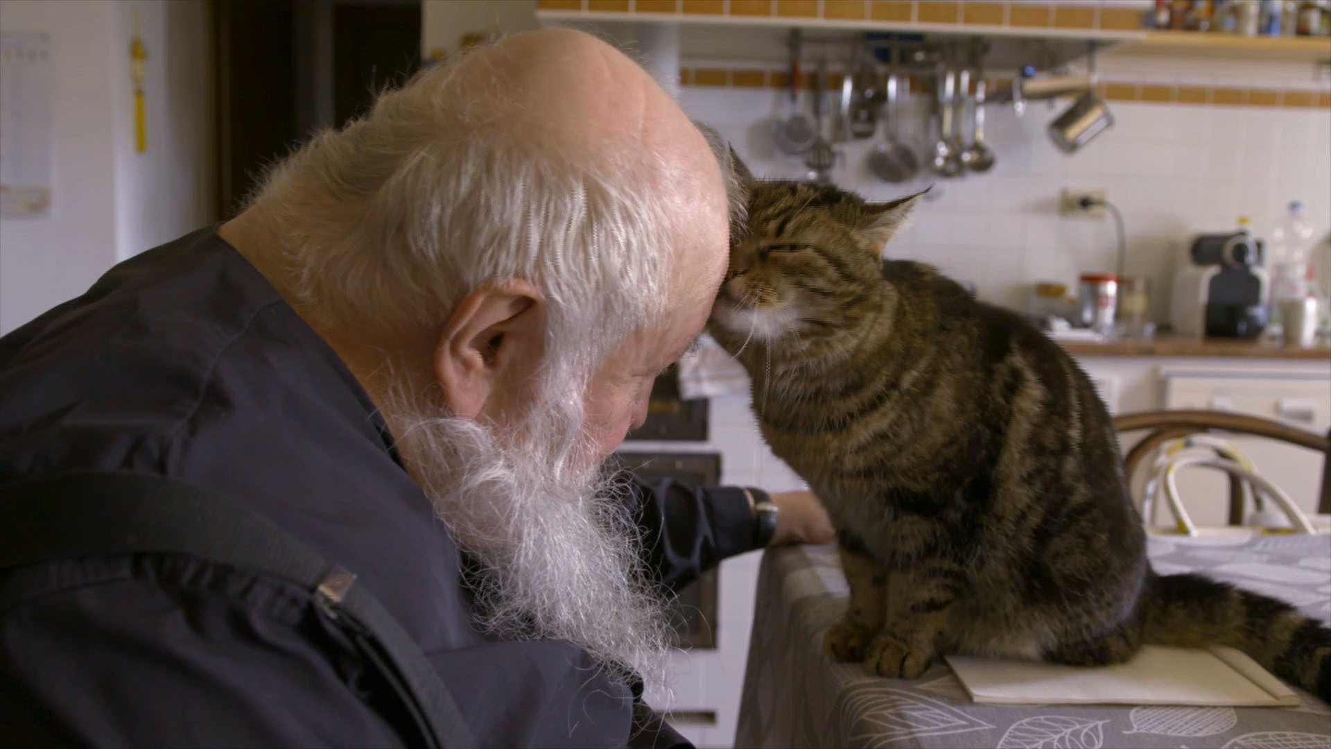 Das-Universum-des-Hermann-Nitsch_Trailer_905698