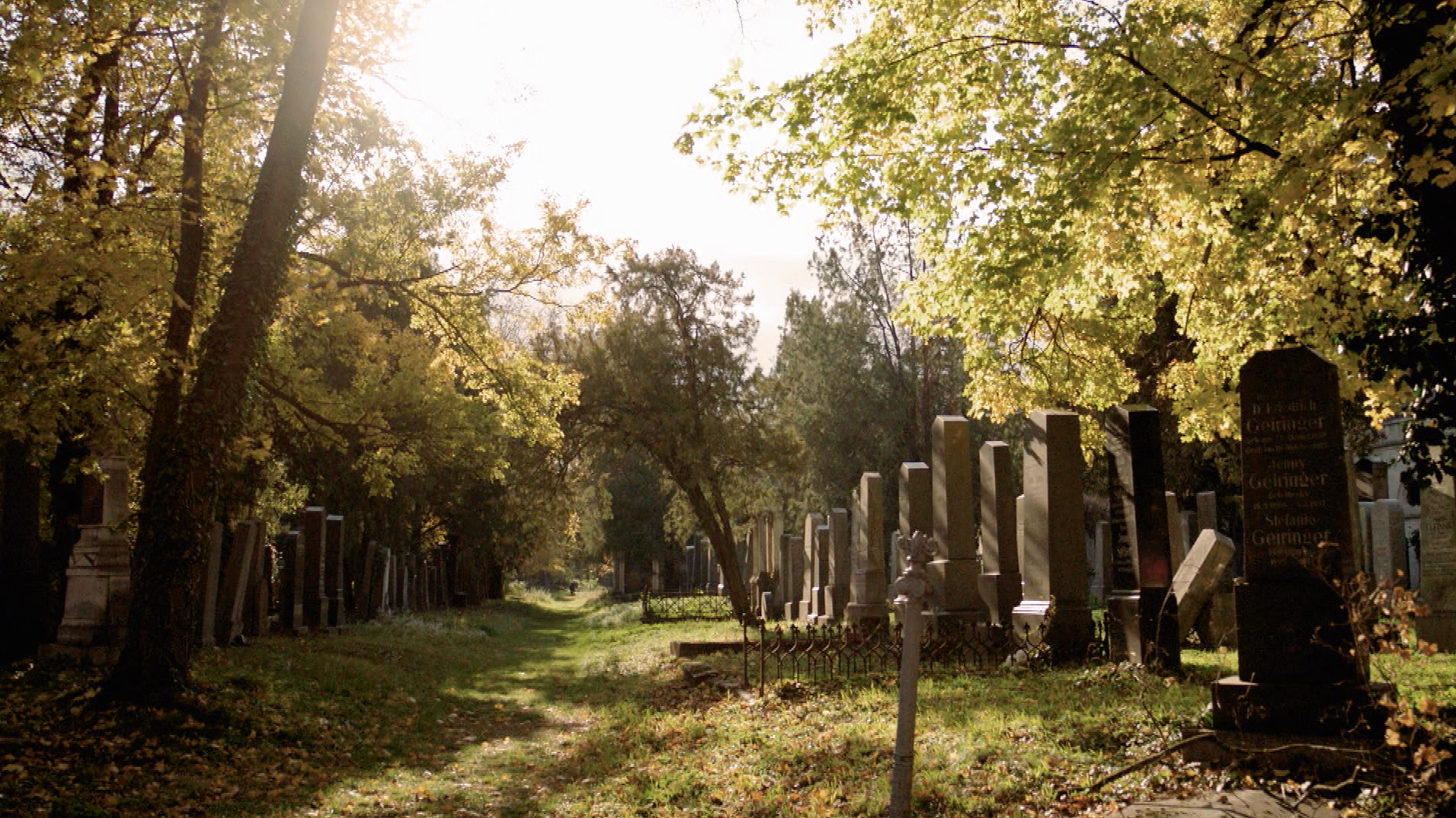 Einmal Kurz Gelacht Zentralfriedhof