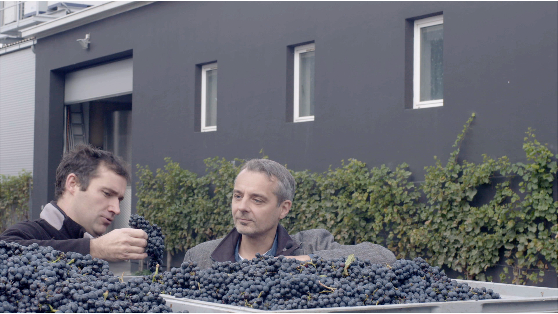 Warum_Wein_F4_Erich_Scheiblhofer_Thomas_Maurer