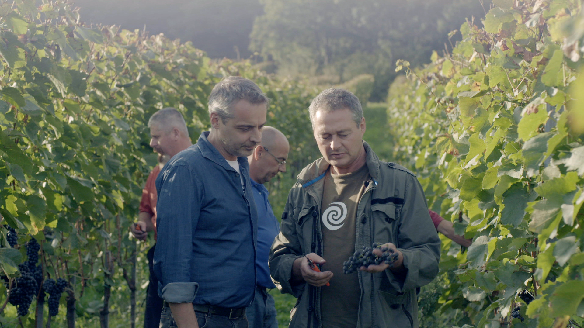 Warum_Wein_F4_Thomas-Maurer_Gernot_Heinrich