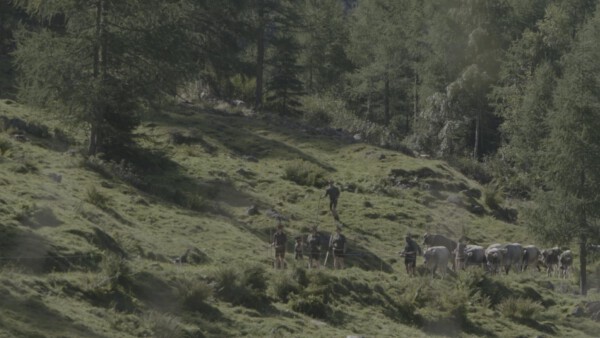 01 Pressefotos Bauer und Politik Landschaft