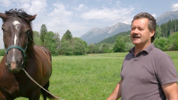 02 Albert Nessmann Pferdezüchter