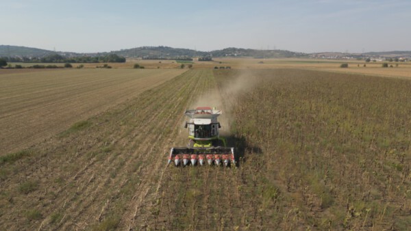 03 Pressefotos BWZ Trockenheit in LW