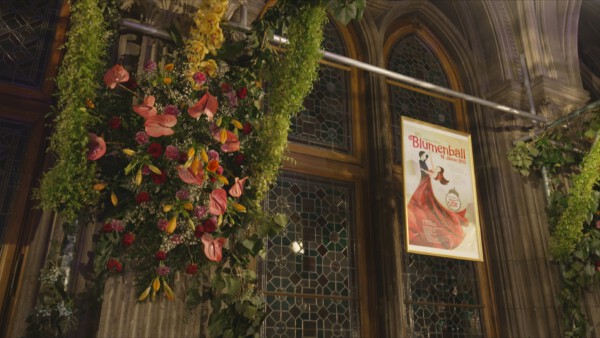 05 Rathaus Blumenball dekoriert02 Wiener Baelle