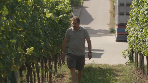 06 Pressefotos BWZ Rudolf Schwarzenboeck Junior