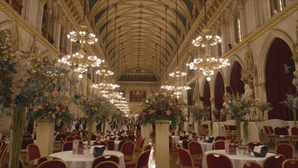 07 Rathaus Blumenball dekoriert03 Wiener Baelle