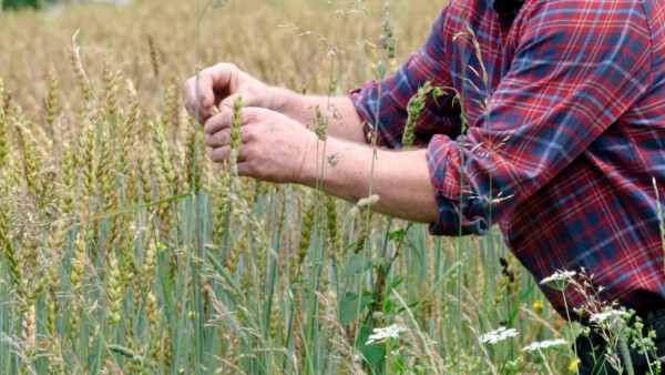 10 IKE Lesachtal CC Copy 01