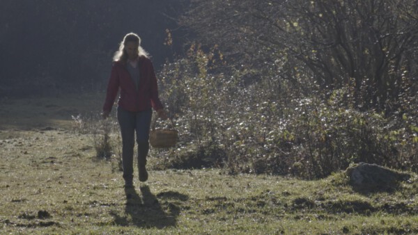 12 Dobratsch Schnitt Copy 05