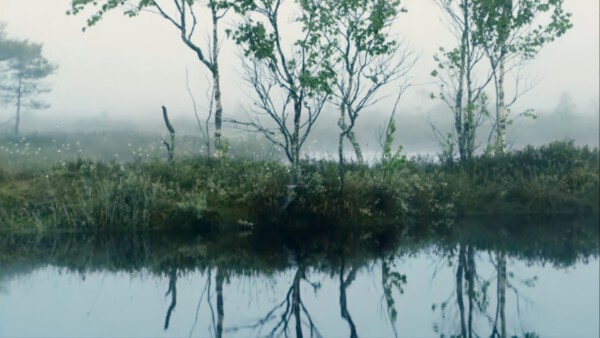 12 Natur Estalnd Estonian Tourism BALTIKUM Teil 1