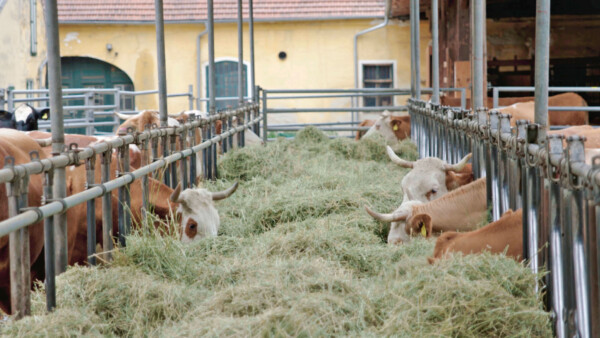 12 VHH4 LOOSDORF 190912 MASTER