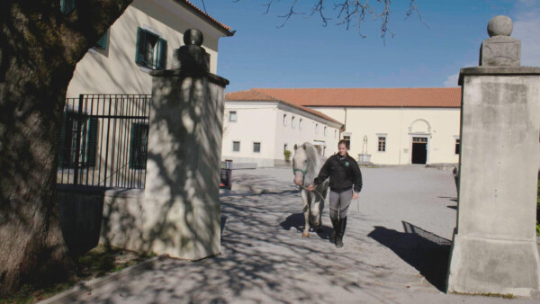 13 Das Gestüt Lipica