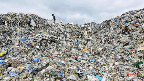 114647 bigpicture 24341 plastik mehrweg body muell n