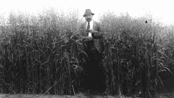 23 Industriegeschichte Waldviertel Folge3