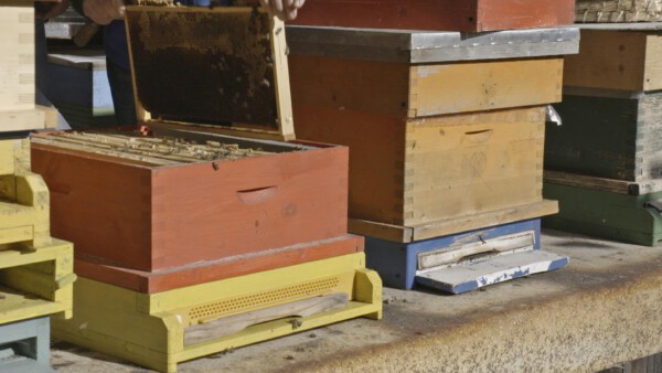 20 Dobratsch Schnitt Copy 05