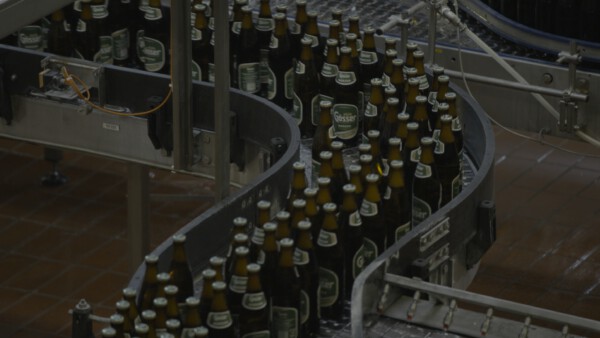 25 Bier