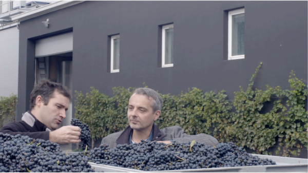 Warum_Wein_F4_Erich_Scheiblhofer_Thomas_Maurer