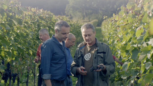 Warum_Wein_F4_Thomas-Maurer_Gernot_Heinrich