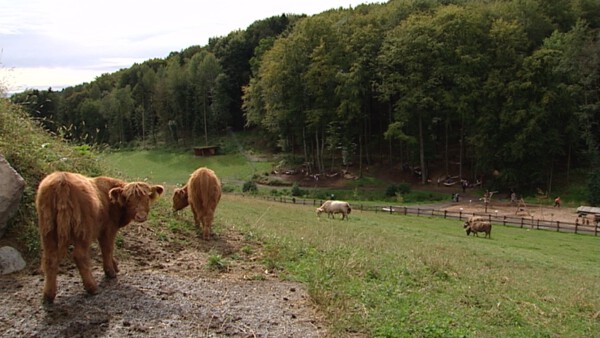 5 ERFOLGREICH SCHEITERN 090823