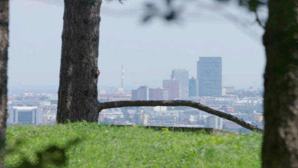 5 Wienerwald nähe zu Wien