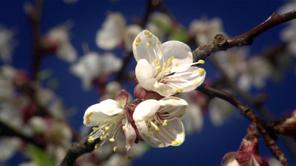 Bildschirmfoto-2019-05-06-um-14.25.51