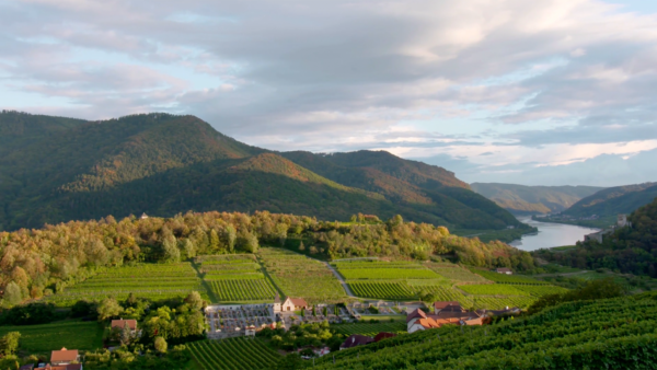 Bildschirmfoto-2019-05-06-um-14.27.32