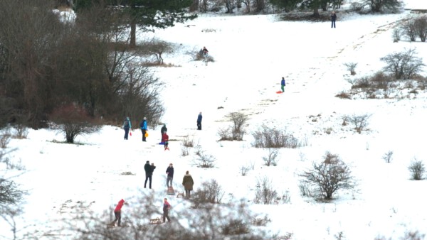9 Rodeln in Wien