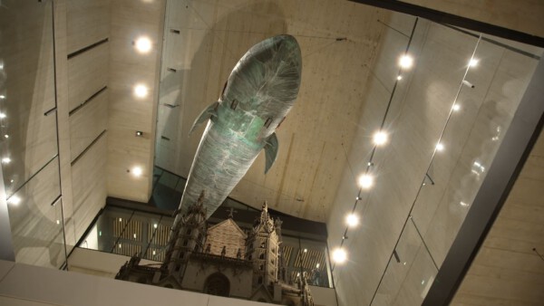 Ad R131 02 Blick in die grosse Halle mit Modell des Stephansdoms und Praterwal Poldi