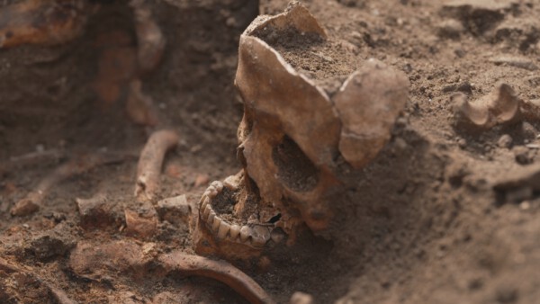 Bild 01 aussergewoehnlicher Fund