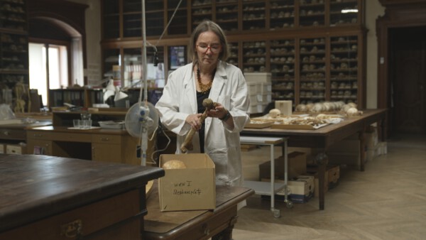 Bild 05 Karin Wiltschke Schrotta