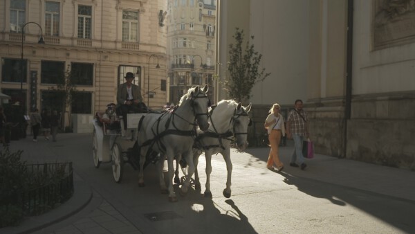 Bild 09 Fiaker faehrt ueber ehemaligen Peters Freithof