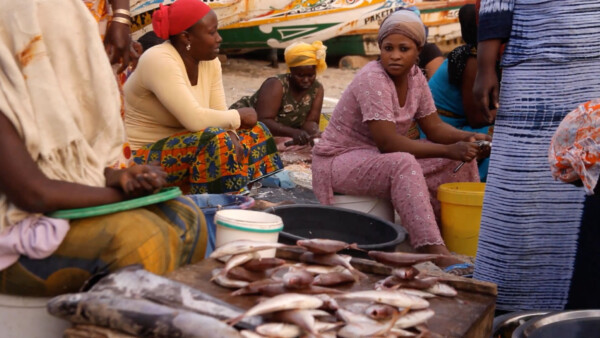 Bildschirmfoto-2019-03-12-um-16.45.46-Kopie