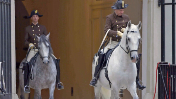 Bildschirmfoto-2019-03-20-um-14.38.44-Kopie