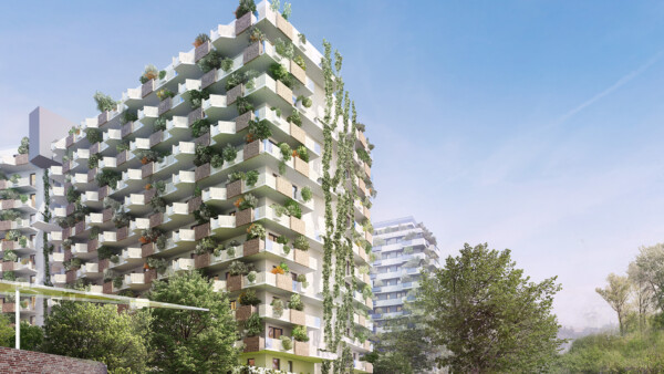 Coca Cola Lainer 5 2019 n Kopie