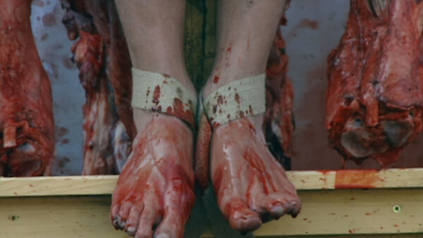 Das-Universum-des-Hermann-Nitsch_Trailer_900886