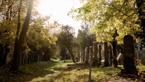 Einmal Kurz Gelacht Zentralfriedhof