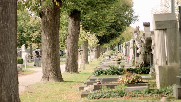 Einmal Kurz Gelacht Zentralfriedhof01