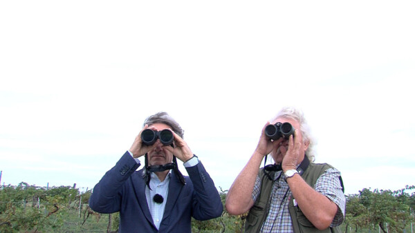 Fertö-Neusiedlersee_5