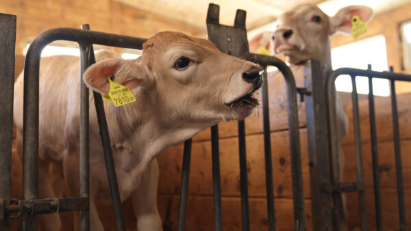 HM Drei Steirer san sieben Hauben 026 c Servus TV Ronald Graf w