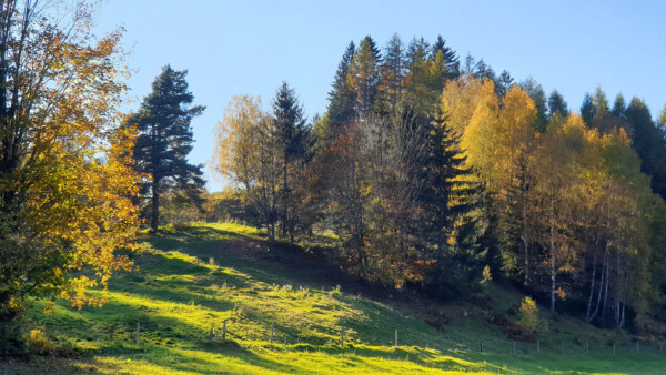 HM Drei Steirer san sieben Hauben 041 c Servus TV Ronald Graf w