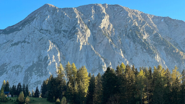 HM Drei Steirer san sieben Hauben 052 c Servus TV Ronald Graf w