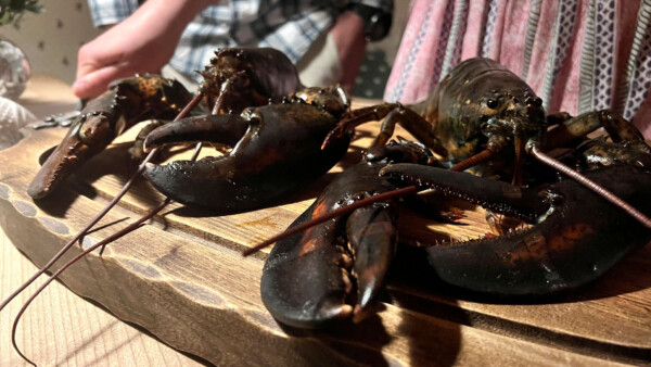 HM Drei Steirer san sieben Hauben 063 c Servus TV Ronald Graf w