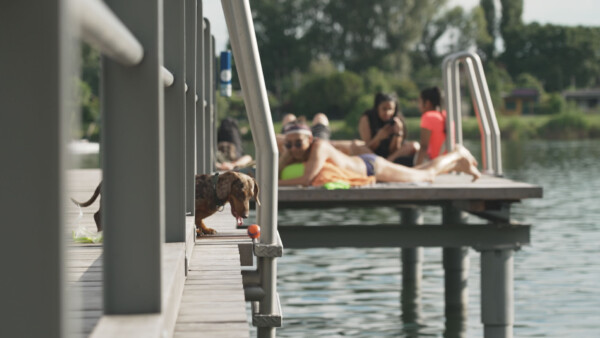 Hund Menschen Wasser Steg