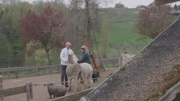 KQ Erfolgreich Scheitern Presse 11
