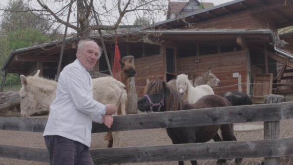 KQ Erfolgreich Scheitern Presse 12