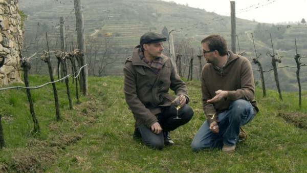 Nicolaus_Saahs_und_Thomas_Maurer_Warum_Wein_BIO_01 -Clever-Contents-Filmproduktion