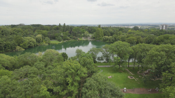 Park Teich